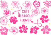 Cute Hibiscus Flower Font - Featured Image