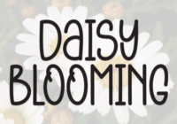 Daisy Blooming Font - Featured Image