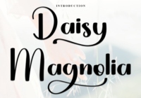 Daisy Magnolia Font - Featured Image