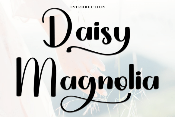 Daisy Magnolia Font - Featured Image