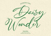 Daisy Wonder Font - Featured Image