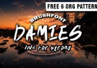 Damies Font - Featured Image