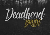 Deadhead Brush Font - Featured Image
