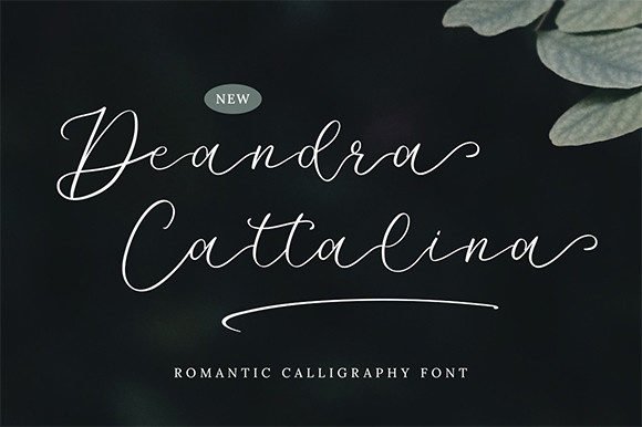 Deandra Cattalina Font - Featured Image