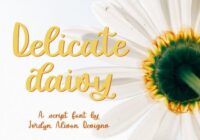 Delicate Daisy Font - Featured Image