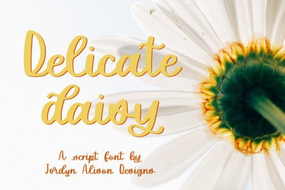 Delicate Daisy Font - Featured Image