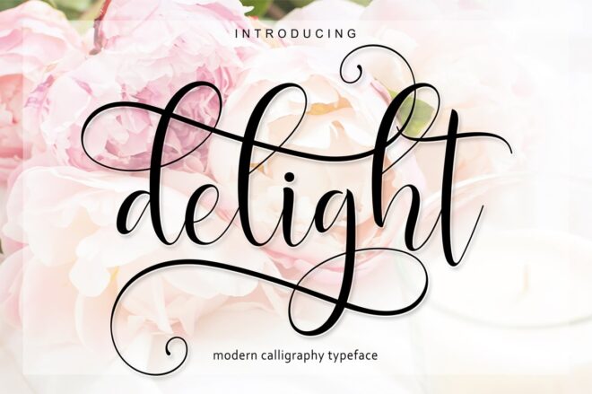 Delight Script Font - Featured Image