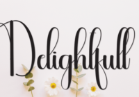 Delightfull Font - Featured Image
