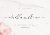 Della Brian Font - Featured Image