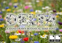 Delta Font - Featured Image