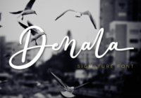 Denala Font - Featured Image