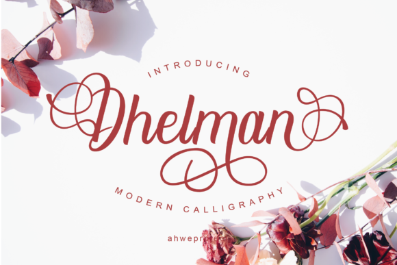 Dhelman Script Font - Featured Image