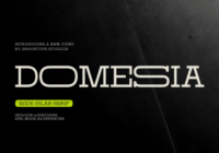 Domesia Font - Featured Image