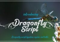 Dragonfly Script Font - Featured Image