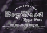 DryWood Font - Featured Image