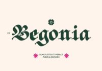 ED Begonia Font - Featured Image