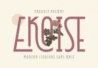 Ekoise Font - Featured Image