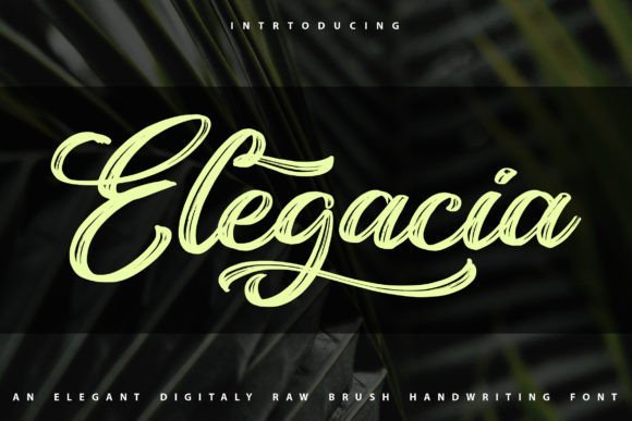 Elegacia Font - Featured Image