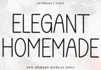 Elegant Homemade Font - Featured Image