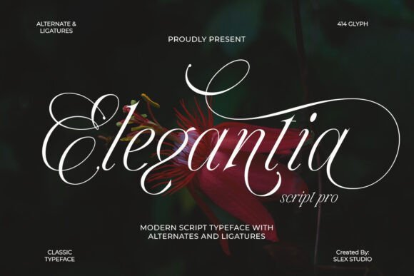 Elegantia Font - Featured Image