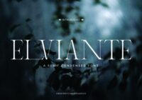 Elviante Font - Featured Image