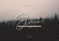 Elvira Font - Featured Image