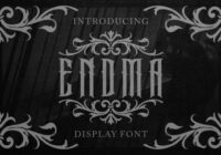 Endma Font - Featured Image