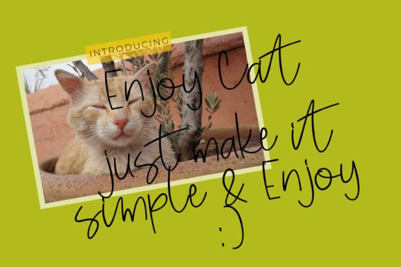 Enjoy Cat Font - Featured Image