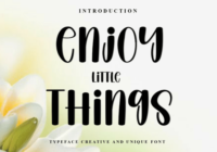 Enjoy Little Things Font - Featured Image