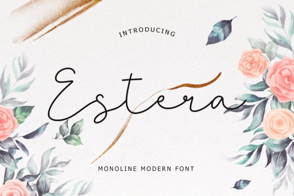 Estera Font - Featured Image