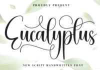 Eucalyptus Font - Featured Image