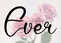 Ever Font - Featured Image