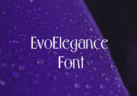 Evo Elegance Font - Featured Image