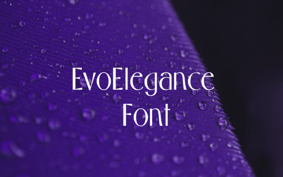 Evo Elegance Font - Featured Image