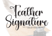 Feather Signature Font - Featured Image