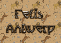 Felis Antwerp Font - Featured Image