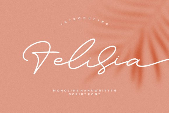 Felisia Font - Featured Image