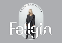 Fellgin Font - Featured Image
