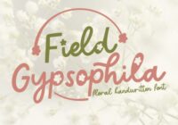 Field Gypsophila Font - Featured Image