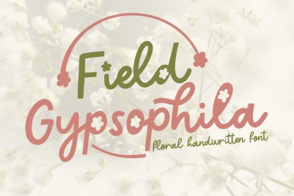 Field Gypsophila Font - Featured Image