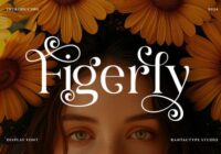 Figerly Font - Featured Image