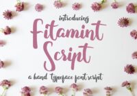 Fitamint Script Font - Featured Image