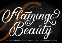 Flamingo Beauty Font - Featured Image