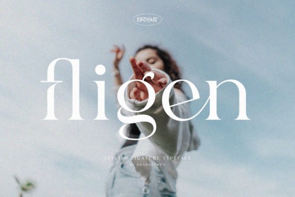 Fligen Font - Featured Image