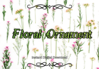 Floral Ornament Font - Featured Image
