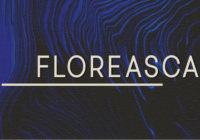 Floreasca Font - Featured Image