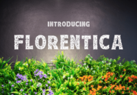 Florentica Font - Featured Image