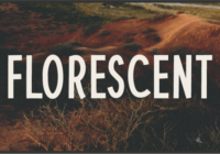 Florescent Font - Featured Image