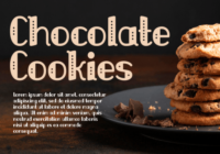 Florida Stories Font - Featured Image