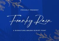 Franky Rain Font - Featured Image